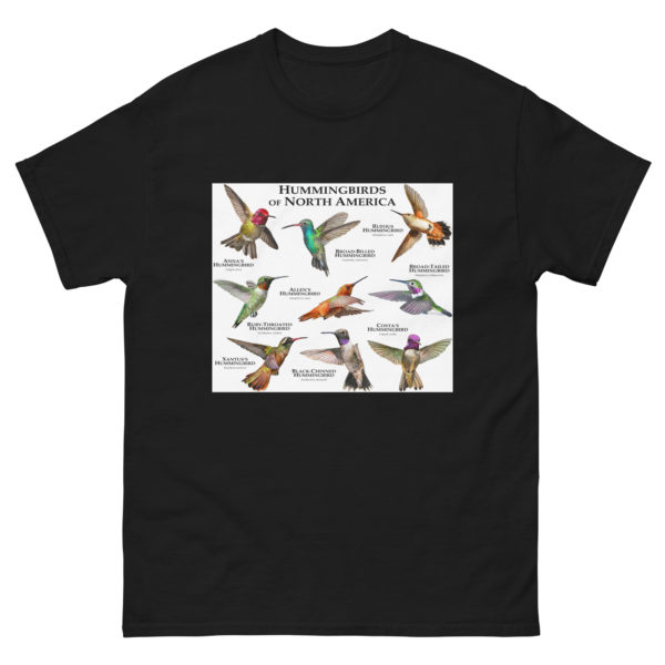 Hummingbirds of North America - Men's classic tee - Image 2