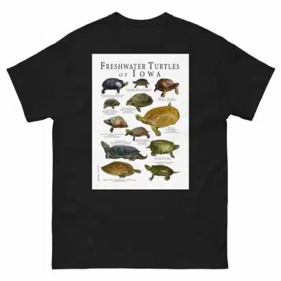 Freshwater Turtles of Iowa - Men's classic tee - Image 2