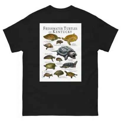 Freshwater Turtles of Kentucky - Men's classic tee - Image 2