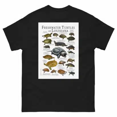 Freshwater Turtles of Louisiana - Men's classic tee - Image 2