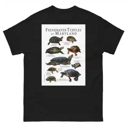 Freshwater Turtles of Maryland - Men's classic tee - Image 2