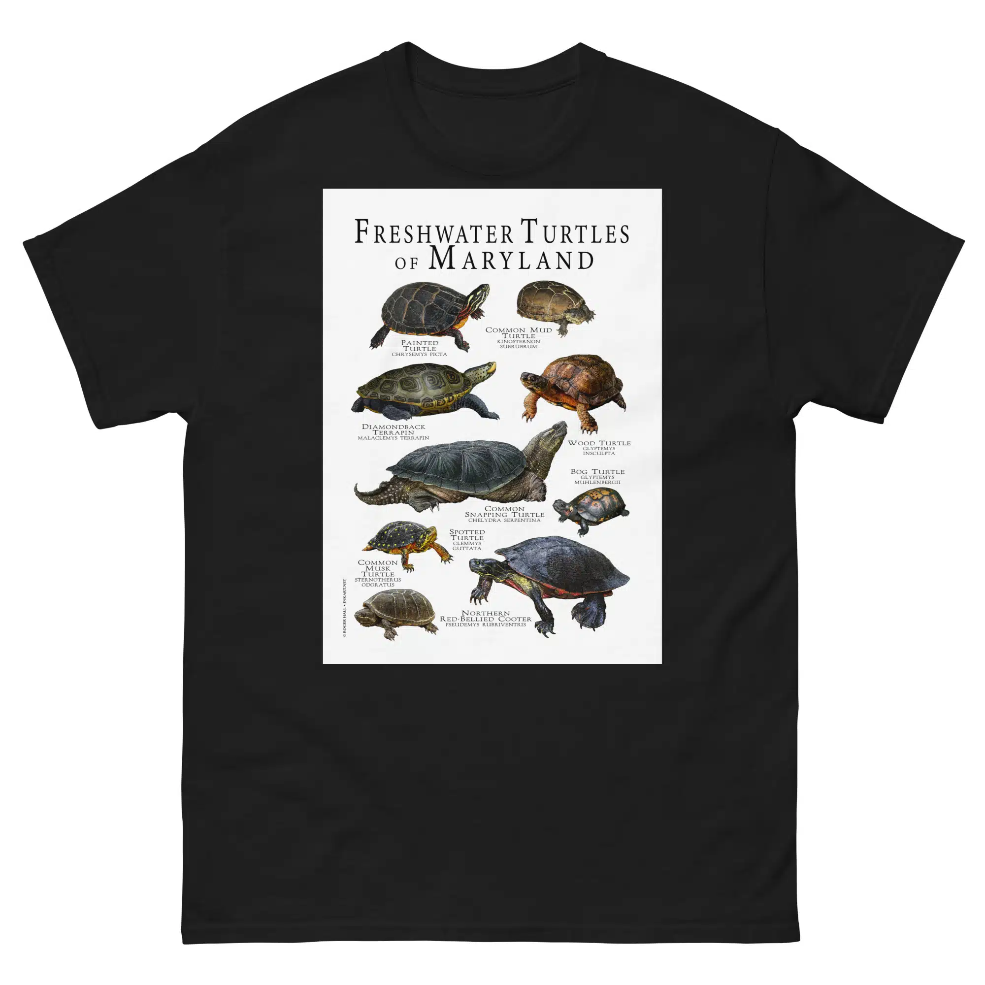 Freshwater Turtles of Maryland - Men's classic tee