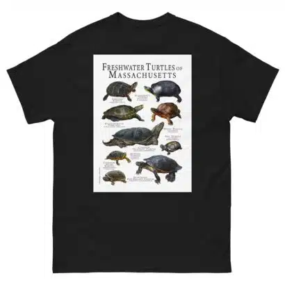 Freshwater Turtles of Massachusetts - Men's classic tee - Image 2