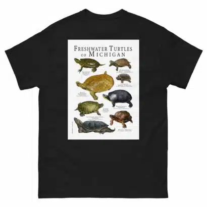Freshwater Turtles of Michigan - Men's classic tee - Image 2