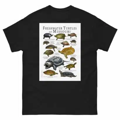 Freshwater Turtles of Missouri - Men's classic tee - Image 2