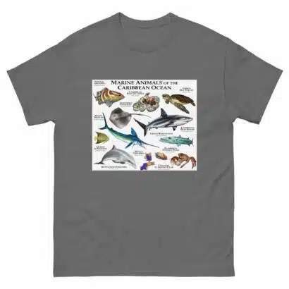 Marine Animals of the Caribbean - Men's classic tee - Image 4