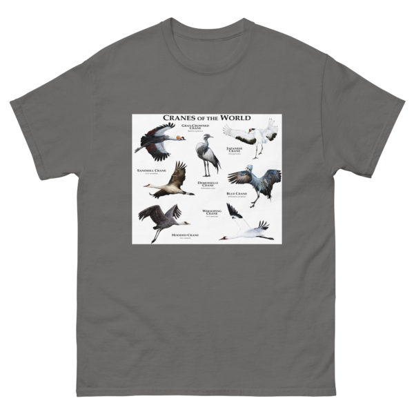 Cranes of the World - Men's classic tee - Image 4