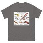 Cuttlefish and Squid of the World - Men's classic tee - Image 4