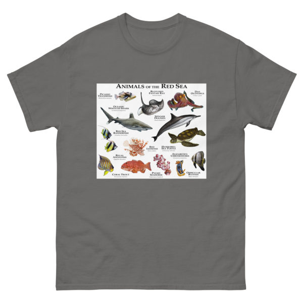Animals of the Red Sea - Men's classic tee - Image 4