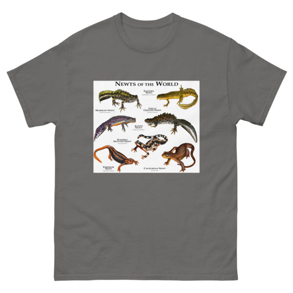 Newts of the World - Men's classic tee - Image 4