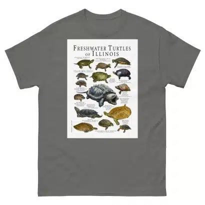 Freshwater Turtles of Illinois - Men's classic tee - Image 4