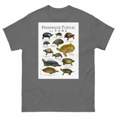 Freshwater Turtles of Iowa - Men's classic tee - Image 4