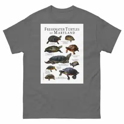 Freshwater Turtles of Maryland - Men's classic tee - Image 4