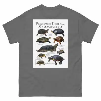 Freshwater Turtles of Massachusetts - Men's classic tee - Image 4