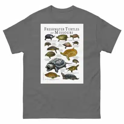 Freshwater Turtles of Missouri - Men's classic tee - Image 4