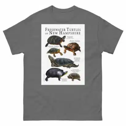 Freshwater Turtles of New Hampshire - Men's classic tee - Image 4