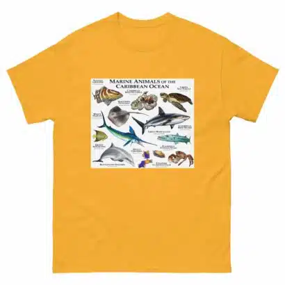 Marine Animals of the Caribbean - Men's classic tee - Image 8