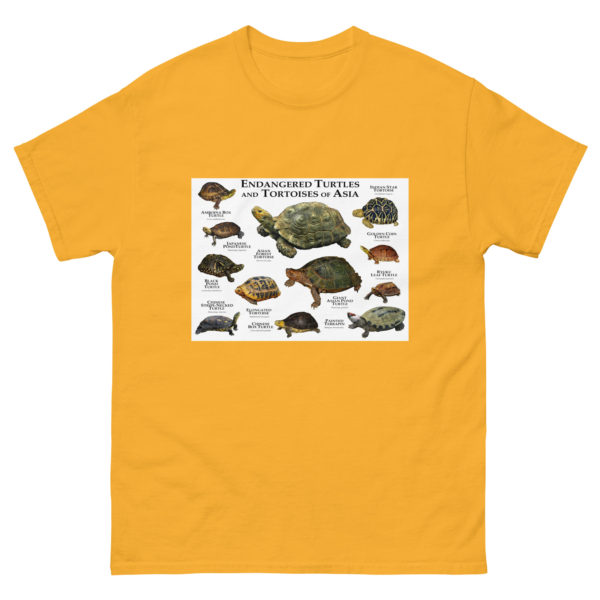 Endangered Turtles and Tortoises of Asia - Men's classic tee - Image 8