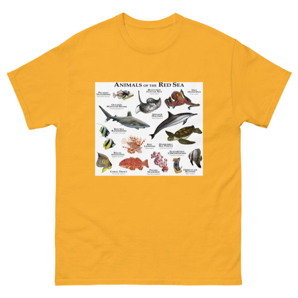 Animals of the Red Sea - Men's classic tee - Image 8