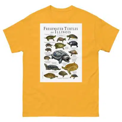 Freshwater Turtles of Illinois - Men's classic tee - Image 8