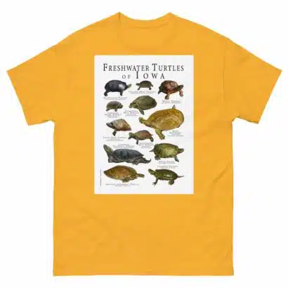 Freshwater Turtles of Iowa - Men's classic tee - Image 8