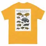 Freshwater Turtles of Kentucky - Men's classic tee - Image 8