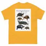 Freshwater Turtles of Maine - Men's classic tee - Image 8