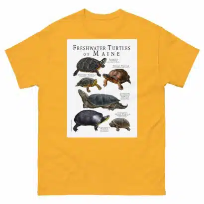Freshwater Turtles of Maine - Men's classic tee - Image 8