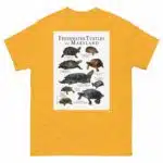 Freshwater Turtles of Maryland - Men's classic tee - Image 8
