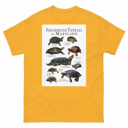 Freshwater Turtles of Maryland - Men's classic tee - Image 8
