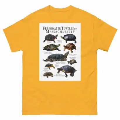 Freshwater Turtles of Massachusetts - Men's classic tee - Image 8