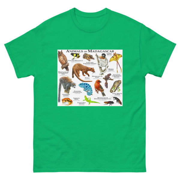 Animals of Madagascar - Men's classic tee - Image 6