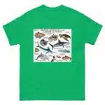 Marine Animals of the Caribbean - Men's classic tee - Image 6