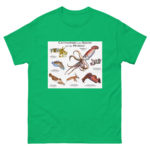 Cuttlefish and Squid of the World - Men's classic tee - Image 6