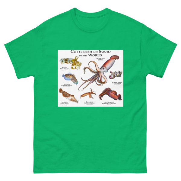 Cuttlefish and Squid of the World - Men's classic tee - Image 6