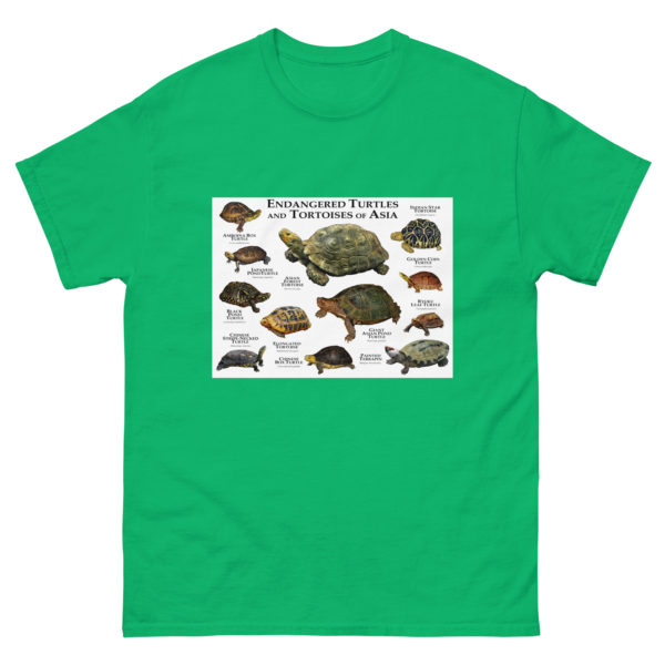 Endangered Turtles and Tortoises of Asia - Men's classic tee - Image 6