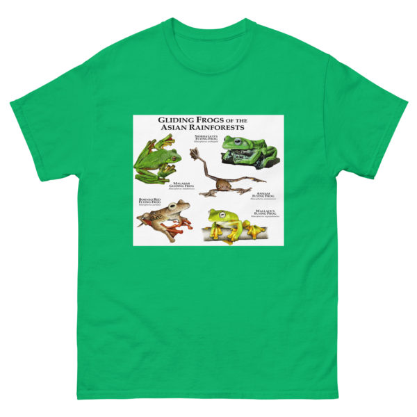 Gliding Treefrogs of Asia - Men's classic tee - Image 6