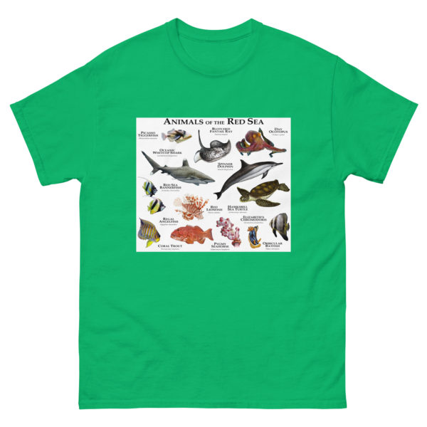 Animals of the Red Sea - Men's classic tee - Image 6