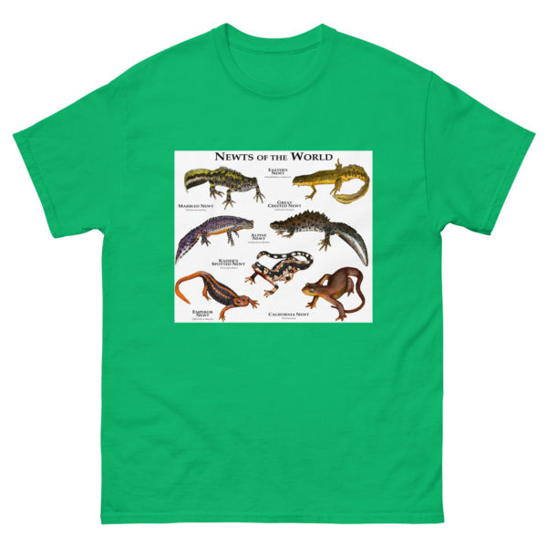 Newts of the World - Men's classic tee - Image 6