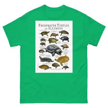 Freshwater Turtles of Illinois - Men's classic tee - Image 6