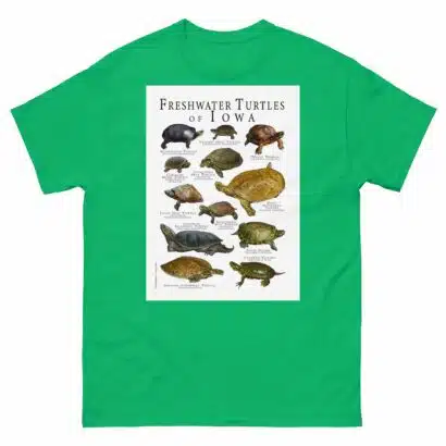 Freshwater Turtles of Iowa - Men's classic tee - Image 6