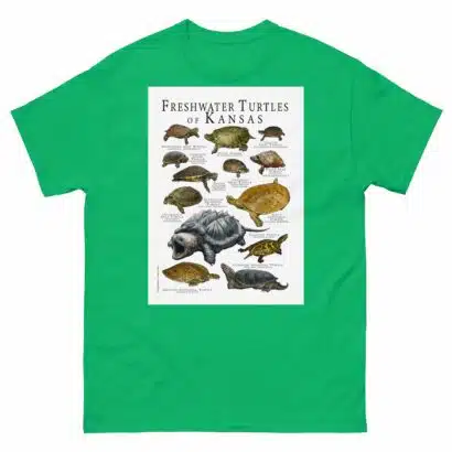 Freshwaters Turtles of Kansas - Men's classic tee - Image 6