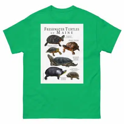 Freshwater Turtles of Maine - Men's classic tee - Image 6