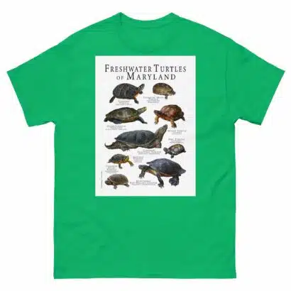 Freshwater Turtles of Maryland - Men's classic tee - Image 6