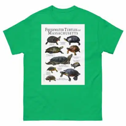 Freshwater Turtles of Massachusetts - Men's classic tee - Image 6