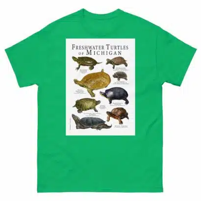 Freshwater Turtles of Michigan - Men's classic tee - Image 6