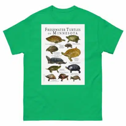 Freshwater Turtles of Minnesota - Men's classic tee - Image 6