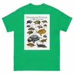 Freshwater Turtles of Missouri - Men's classic tee - Image 6