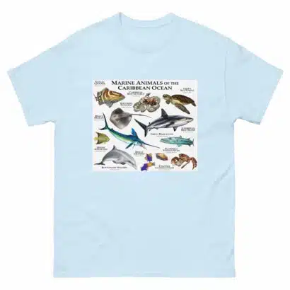 Marine Animals of the Caribbean - Men's classic tee - Image 10