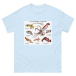 Cuttlefish and Squid of the World - Men's classic tee - Image 10